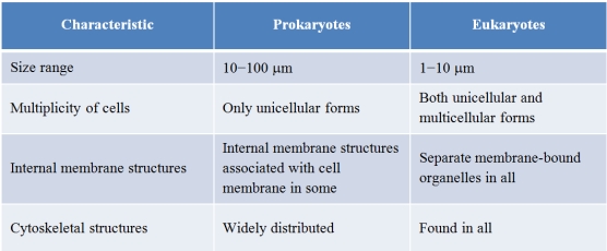Refer to the table below, which was created to summarize similarities and differences between prokaryotic and eukaryotic cells. Which statement best evaluates the accuracy of the information as it is shown in the table?