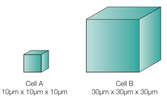 Refer to the figure below. The villi of the small intestine are lined with epithelial cells that absorb nutrients from digested food on one side and transfer these nutrients into the blood on the other side.Which cell shown in the figure would be most efficient as an epithelial cell in the intestinal villi, and why?