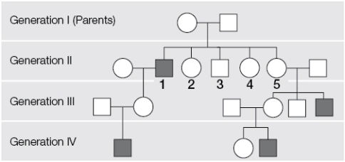 Refer to the figure showing a pedigree of a sex-linked recessive trait.Note here that only individuals that are affected are shaded; unshaded individuals may or may not be carriers. In generation II, female number 5 marries a man and has three children.One daughter and one son do not have the recessive trait; the other son does have the recessive trait.Based on these results, one can conclude that the mother is _______ for the trait and that the father is _______ for the trait.