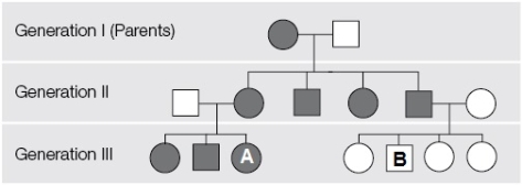 Refer to the figure showing a pedigree. What is the probability that individual B will pass on the trait to his offspring?