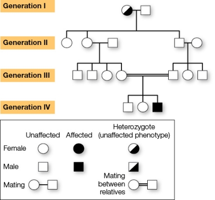 Refer to the figure showing a family pedigree and recessive inheritance.Note the mother in generation I is a carrier of a rare recessive autosomal trait. What is the probability that a member of generation III will be a carrier of this trait?