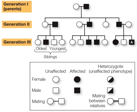 Refer to the figure showing a family pedigree in which several individuals develop a neurodegenerative disease late in life. If individual A (in generation III) has children with an unaffected woman, what is the probability that their first child will be affected?