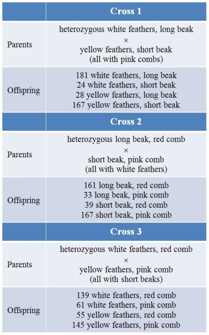 In chickens, white feathers (F) are dominant over yellow (f), long beaks (B) are dominant over short (b), and red combs (R) are dominant over pink (r).You are trying to determine any linkage, and the order of all three genes on the chromosome if they are all linked.You perform three matings of roosters and hens, with the results shown in the table. What is the arrangement of genes on the chromosome(s)?
