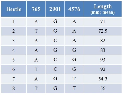 Refer to the table.A gene might affect the length of bristles of a beetle.Using CRISPR technology, biologists have altered the sequence of this gene at three different nucleotides (765, 2901, and 4576) and have measured the length of bristles (in millimeters, with calculated means).In nature, most beetles have A at position 765, G at position 2901, and A at position 4576 (see beetle 1). Changing A to G at position 4576 will likely _______ the length of bristles.