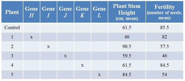 Refer to the table showing results from an experiment in which researchers used CRISPR technology to knock out various genes from a plant.They then examined plant stem height (in centimeters, with calculated means) and seed production (number of seeds, with calculated means) with each treatment.(Note: The x marks genes that have been knocked out.) Knocking out which gene had effects only on fertility?