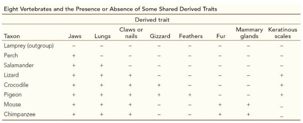 Refer to the table. The table shows the presence or absence of some derived traits in eight species of vertebrates.If you wanted to classify all of the recent animals that have jaws, lungs, and either claws or nails, which animal would you use as the nearest related outgroup? Why?