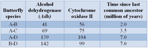 Refer to the table. The table shows the divergence times (time since last common ancestor) between different species of butterflies and the numbers of changes that have occurred at two different genes.What is the rate of evolution of the gene for alcohol dehydrogenase? Note that there are two lineages (branches) from the common ancestor within which evolution is occurring.