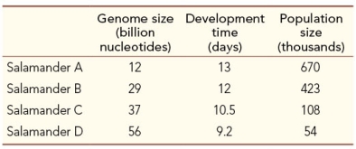 <strong>Refer to the table, which shows the genome sizes, development times, and population sizes of four species of salamanders. These salamander data are consistent with</strong> A) development rate hypothesis for genome size. B) genome size being due to lateral gene transfer. C) noncoding DNA being slightly advantageous. D) noncoding DNA being slightly deleterious. E) noncoding DNA having a regulatory effect.