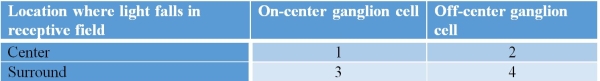 Choose the correct answer option to complete the table below.Answers should be ordered from 1 to 4 and concern whether on-center and off-center ganglion cells would be excited or inhibited by light falling on particular locations of the receptive field.