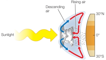 <strong>Refer to the figure below. In air circulation at the tropics, what is responsible for the rain?</strong> A) As air warms in the tropics, it drops rain when it becomes supersaturated. B) As air rises and cools, it holds less moisture and drops the excess as rain. C) As air rises, it becomes less dense and therefore less able to hold moisture. D) As air rises, it meets sunlight entering the atmosphere, which stimulates rain. E) As air descends, it becomes warmer, and warm air is less able to hold moisture.
