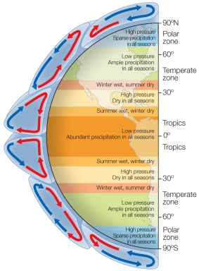 Refer to the diagram below. Tropical seasonal forest climates have a very wet season and a very dry season.Temperatures are above 64°F (18°C) every month.They would most likely be located within which latitude range?