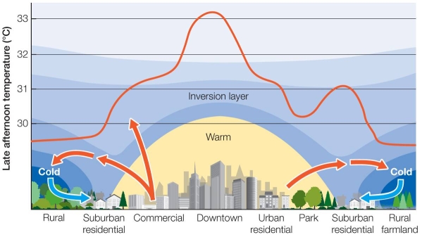 Refer to the diagram below.   The inversion layer over a city has what effect on the city's climate?