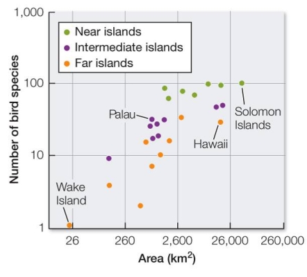 Refer to the graph below, which represents island size, distance from New Guinea, and number of bird species present. Based on the diagram, which statement best summarizes the relationship of the three factors described?