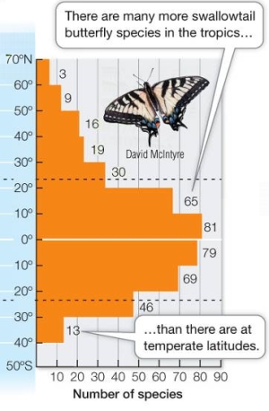 Refer to the graph below. Consider the information in the graph.How does it relate to the type of information obtained by early explorers as they observed plant and animal distribution around the world? Do their observations still hold true today? Why or why not?