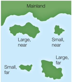 Refer to the figure below. How is species diversity likely to differ on the four types of islands shown on the map? Explain your answer.