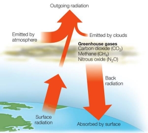 Refer to the figure below, showing heat radiation in Earth's atmosphere.   Based on the diagram, which statement about heat in Earth's atmosphere is most accurate?