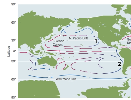 Refer to the figure, showing ocean surface currents in the Pacific Ocean. Based on what you know about prevailing winds, which statement correctly defines the winds causing currents 1 and 2?