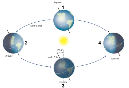 Refer to the figure below, showing the tilt of Earth's axis as it revolves around the sun, causing changes in the seasons. Based on the diagram, which statement is true?