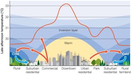 Refer to the figure below. Research shows that, compared to nonurban areas, urban heat islands raise nighttime temperatures more than they raise daytime temperatures.What factor shown in the figure might account for this difference?