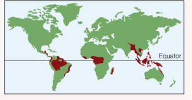 Refer to the figure below. The biome represented by the red areas is likely to have what temperature and precipitation characteristics?