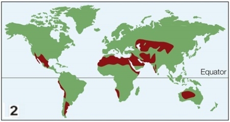 Refer to the figures, showing the locations of two biomes. Which biomes do these figures most likely represent?