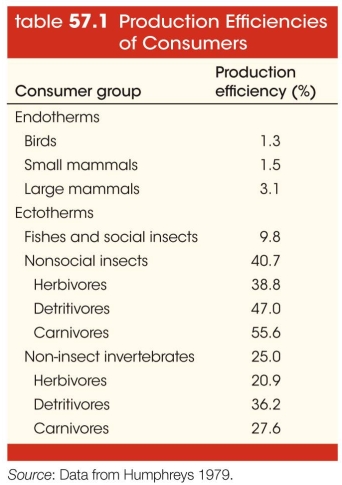 <strong>Refer to the table. In general, according to the table, which group of ectotherms is most efficient at storing energy as biomass?</strong> A) Nonsocial insect carnivores B) Nonsocial insect detritivores C) Nonsocial insect herbivores D) Non-insect invertebrate detritivores E) Non-insect invertebrate carnivores