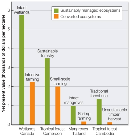 <strong>Refer to the graph. Based on the results in the graph, is sustainable management of ecosystems profitable, and on what do you base your response?</strong> A) Yes; the values of all sustainable systems are more than double those of unsustainable systems. B) Yes; the values of all sustainable systems are significantly greater than those of unsustainable systems. C) Sometimes; the values of all systems except tropical forest Cameroon are great enough to be profitable. D) No; factors other than dollar value must be taken into account to determine profitability. E) No; the differences in values are not great enough to ensure profitability of sustainable systems.