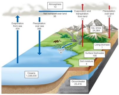 Refer to the figure. Based on the values in the figure plus your understanding of the hydrologic cycle, what effects do you think rapid melting of ice and snow would have on the cycle? What pools and fluxes would be most affected, and how would they be affected?