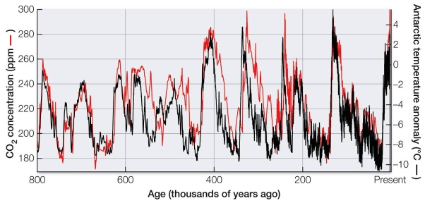 Refer to the graph. The graph shows both atmospheric CO<sub>2</sub> concentration and Antarctic atmospheric temperature anomaly over the past 800,000 years.Discuss the significance of the correlation between these two factors.How do they relate to climate change today?