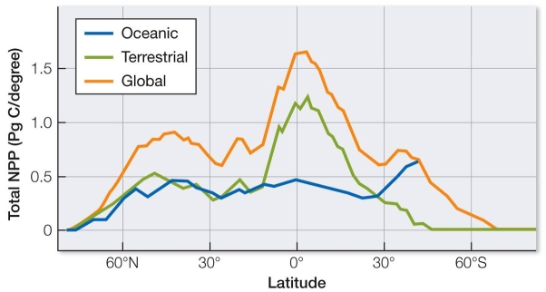 Refer to the graph. Based on the graph, which is the best comparison that can be made between oceanic and terrestrial ecosystems?