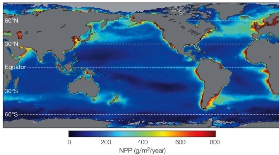 Refer to the map. Based on the map, what is the best conclusion that can be drawn regarding levels of NPP in the world oceans?