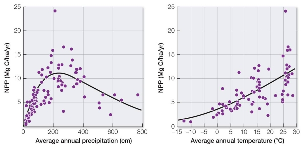 Refer to the graphs. The highest NPP would occur under which combination of temperature and precipitation?