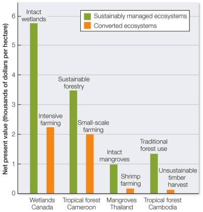 Refer to the graph. Which conclusion can be drawn from the graph about the value of sustainable ecosystems, compared with the value of those converted entirely to human use?