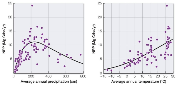 Refer to the graphs, showing global patterns of changes in NPP with changing temperatures and precipitation. In the boreal forest, or taiga, average annual precipitation is between 20 and 200 cm, depending on location, and the average annual temperature varies between -5°C and +5°C.This suggests that the NPP of the boreal forest is _______ mg C/ha/yr.
