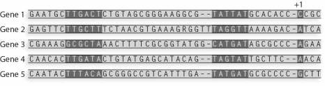 <strong>What is the consensus sequence for the Pribnow box from these sequences? </strong> A)TTGATA B)TATGAT C)TATTAT D)ACCA E)TAGTAT