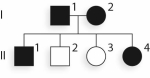 <strong>Given what you know of the inheritance pattern of SCD,is the following pedigree representative of a typical SCD pedigree? </strong> A)Yes;this is a dominant pedigree,and SCD exhibits dominant inheritance. B)Yes;this is a recessive pedigree,and SCD exhibits recessive inheritance. C)No;this is a dominant pedigree,and SCD exhibits recessive inheritance. D)No;this is a recessive pedigree,and SCD exhibits dominant inheritance. E)Another generation is needed before you can determine mode of inheritance.