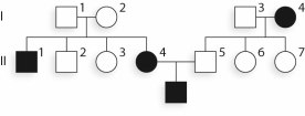 <strong>Given what you know of the inheritance pattern of SCD,what can be said of individual II-5? </strong> A)He is a carrier because his mother was affected and his son was affected. B)He is unaffected,and the mutant allele is passed from II-4 to their son. C)His children with II-4 will all have a 50% chance of being affected (βˢβˢ). D)He is a carrier,and his children with II-4 will have a 50% chance of being affected (βˢβˢ)and a 50% chance of being a carrier (βᴬβˢ). E)He is a carrier,and his children with II-4 will have a 50% chance of being affected (βˢβˢ)and a 50% chance of being unaffected (βᴬβᴬ).