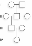 <strong>Given the following pedigree,what is the coefficient of inbreeding for individual V-1? </strong> A)1/2 B)1/4 C)1/8 D)1/16 E)1/64