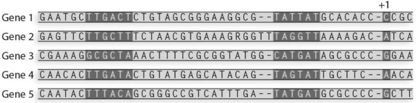 What is the - 35 consensus sequence for the following sequences?