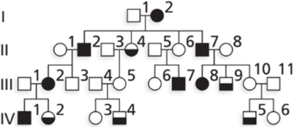 <strong>Brachydactyly type D is human autosomal dominant condition in which the thumbs are abnormally short and broad. In most cases, both thumbs are affected, but occasionally just one thumb is involved. The pedigree above shows a family in which brachydactlyly type D is segregating. Filled circles and squares represent females and males who have involvement of both thumbs. Half- filled in symbols represent family members with just one thumb affected? There is evidence of variable expressivity and incomplete penetrance in this family. Which individu most likely nonpenetrant for the trait?</strong> A) II- 4 B) IV- 1 C) IV- 5 D) III- 5 E) III- 11