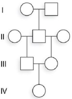 How would you calculate the coefficient of inbreeding for individual IV- 1 in the pedigree below?