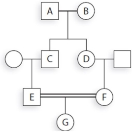 <strong>Given the following pedigree, what is the coefficient of inbreeding for individual G? Use Key Analytic Tool pedigree in Chapter 20, page 402 from SGSM </strong> A) 1/32 B) 1/8 C) 1/4 D) 1/16 E) 1/64