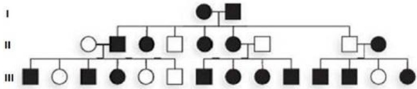 In mice, black coat color is dominant to white coat color. In the pedigree below, mice with a black coat are represented by darkened symbols, and those with white coats are shown as open symbols. What is the probability that I- 1, I- 2, II- 2, AND III- 1 are all heterozygous?