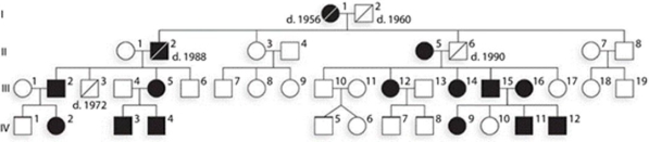 <strong>Huntington's disease is an autosomal dominant trait. Given the pedigree below, if individual IV- 4 has three children with a normal woman, what is probability that they would have at least one child with the disorder?  </strong> A) 1/8 B) 0 C) 1/2 D) 3/8 E) 7/8 <div style=padding-top: 35px> 