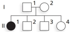 The pedigree suggests which mode of inheritance for an allele on chromosome 15?  <div style=padding-top: 35px> 