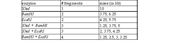 You have isolated a plasmid from E. coli. You get the following results, using three restriction enzymes, 1 XhoI, 2 BamHI, and 3 EcoRI to perform six different digestions: single digests using each enzyme alone and double diges using each combination of two enzymes. Draw a restriction map of the plasmid.