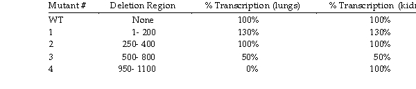 For the following gene, you notice the following results. What type of sequence has been mutated in mutant 4?