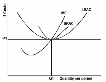 <strong>The following graph depicts the various cost curves for a representative competitive firm producing quantity Q1:   Refer to the above graph to answer this question. If the price of the product is P1, what does the graph suggest?</strong> A) The firm is operating from the optimal size plant but is not necessarily producing the optimal output. B) The firm is producing the optimal output but is not necessarily operating from the optimal size plant. C) The firm is neither operating from the optimal size plant nor necessarily producing the optimal output. D) The firm is producing the optimal output and is also operating from the optimal size plant. <div style=padding-top: 35px> 