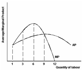 <strong>The graph below illustrates the average and marginal product of labour for Get Smart Enterprises.   Refer to the graph above to answer this question. How many units of labour does the firm need to employ to achieve an output that minimizes marginal cost?</strong> A) 1. B) 3. C) 6. D) 9. E) 12. <div style=padding-top: 35px> 