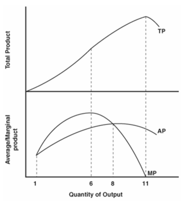 <strong>  Refer to the graph above to answer this question. What is the most productive output?</strong> A) 1. B) 6. C) 8. D) 11. <div style=padding-top: 35px> 